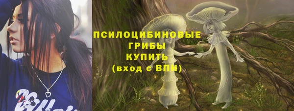 2c-b Алексин