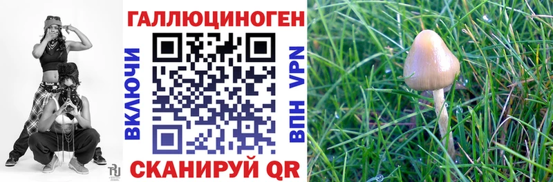 что такое   Красково  гидра ONION  Псилоцибиновые грибы Magic Shrooms 